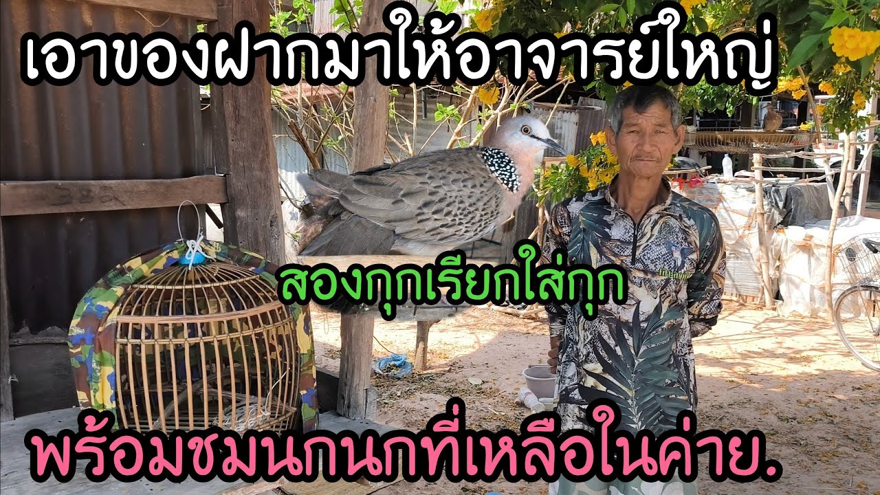 เอาของมาฝากอาจารย์ใหญ่..พร้อมชมนกในค่าย..