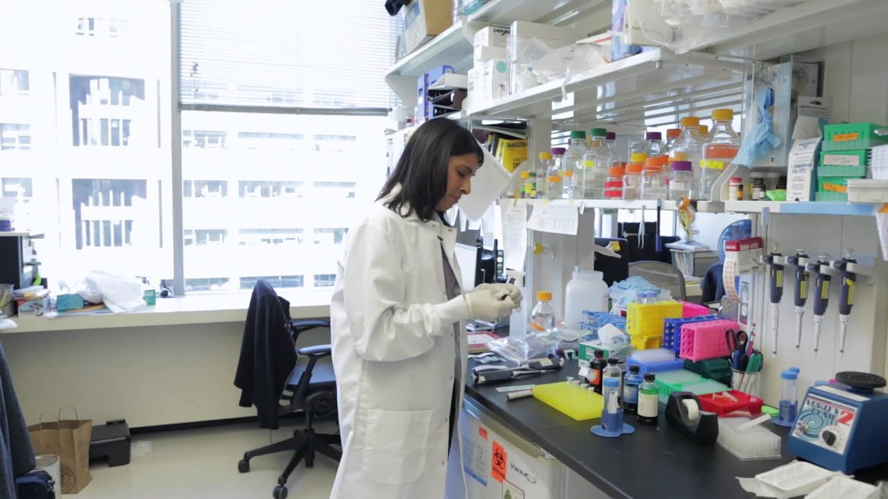 Dr. Sangeeta Bhatia, Paper Microfluidics Activity