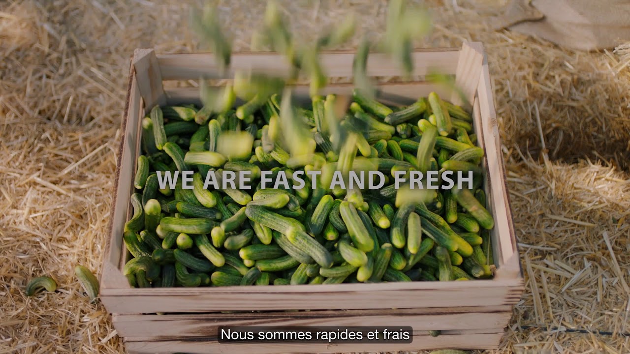 Euro Gıda Corporate Film French