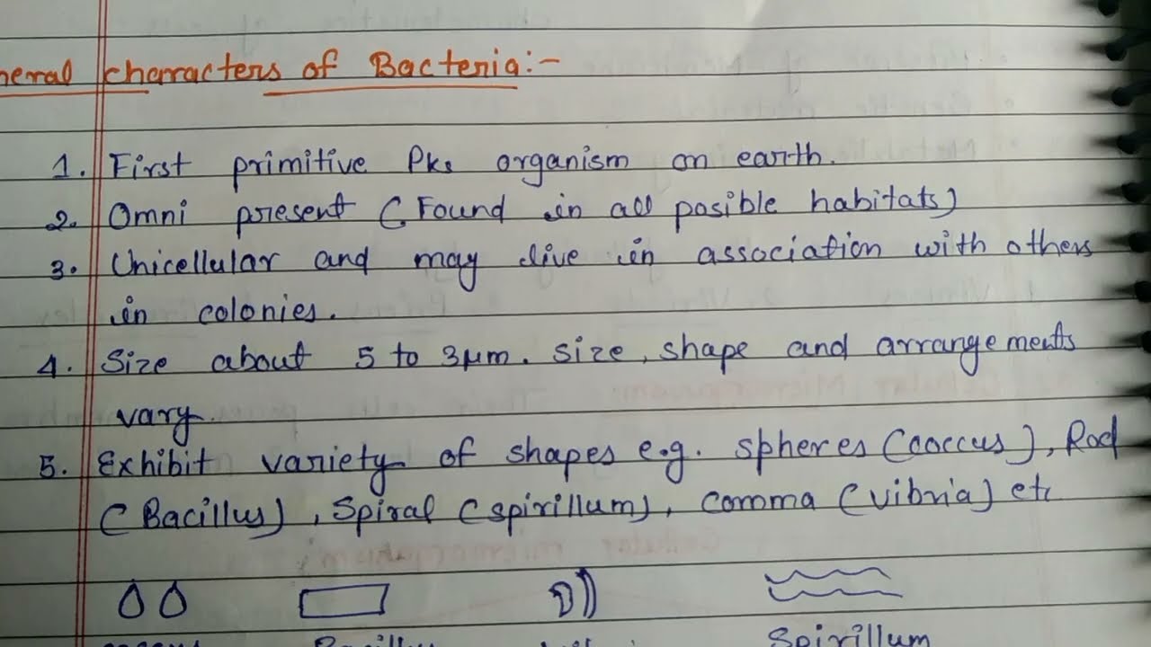 Salient features of Microorganisms||MSc and bsc Botany notes