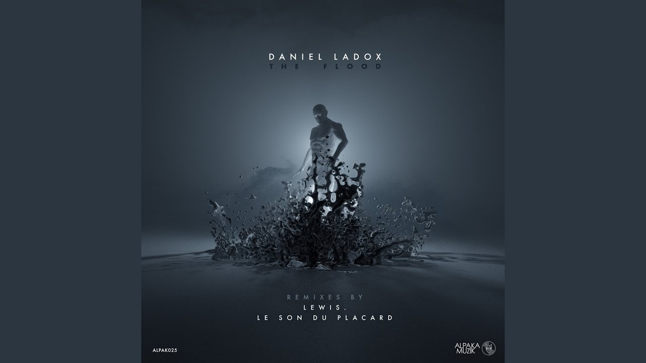 The Flood (Le Son Du Placard Remix)