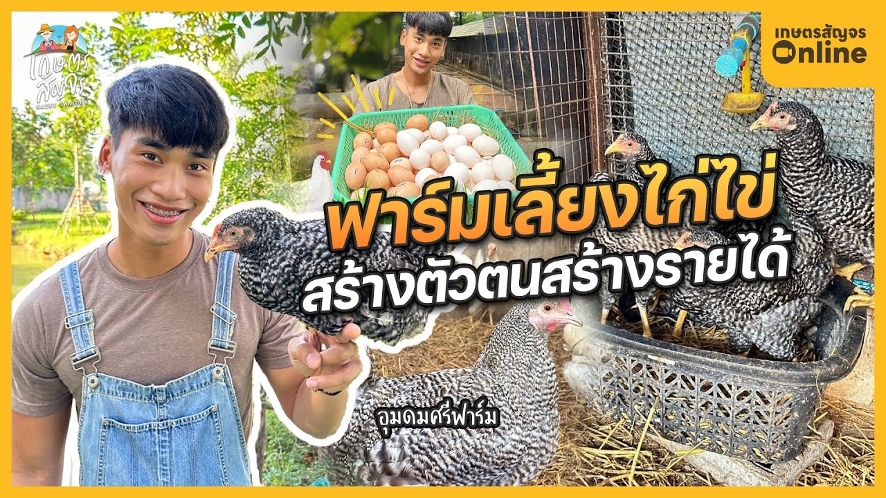 เกษตรกรรุ่นใหม่ กับฟาร์มเลี้ยงไก่ไข่ อุมดมศรีฟาร์ม สร้างตัวตนสร้างรายได้ | เกษตรสัญจร 「Online」