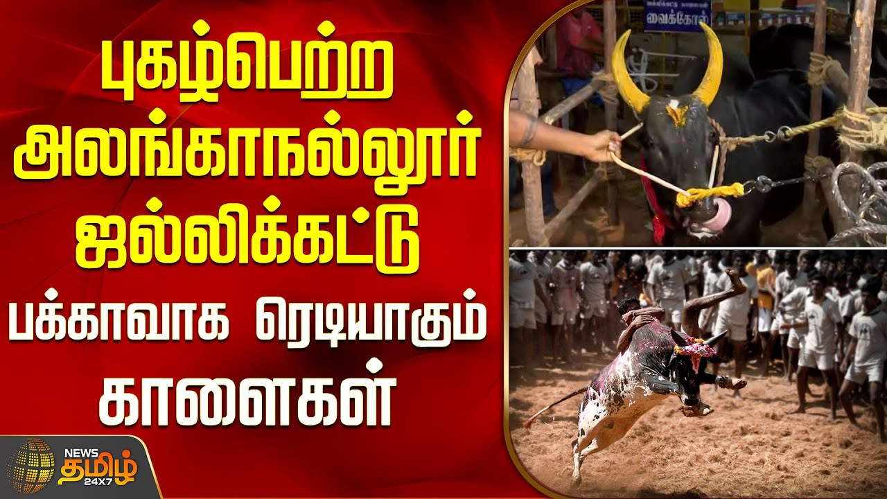 புகழ்பெற்ற அலங்காநல்லூர் ஜல்லிக்கட்டு.. பக்காவாக ரெடியாகும் காளைகள் | AlanganallurJallikattu