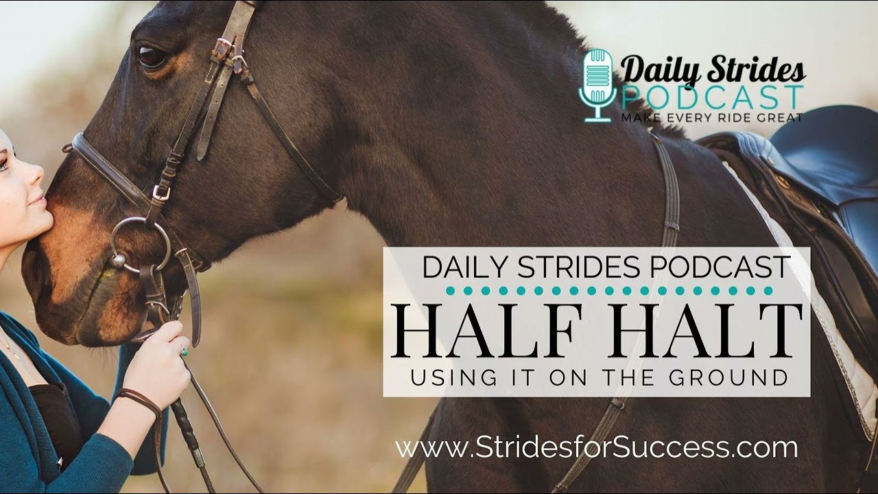 [Encore] Strides Revisited: Half Halt on the Ground (Originally Ep 