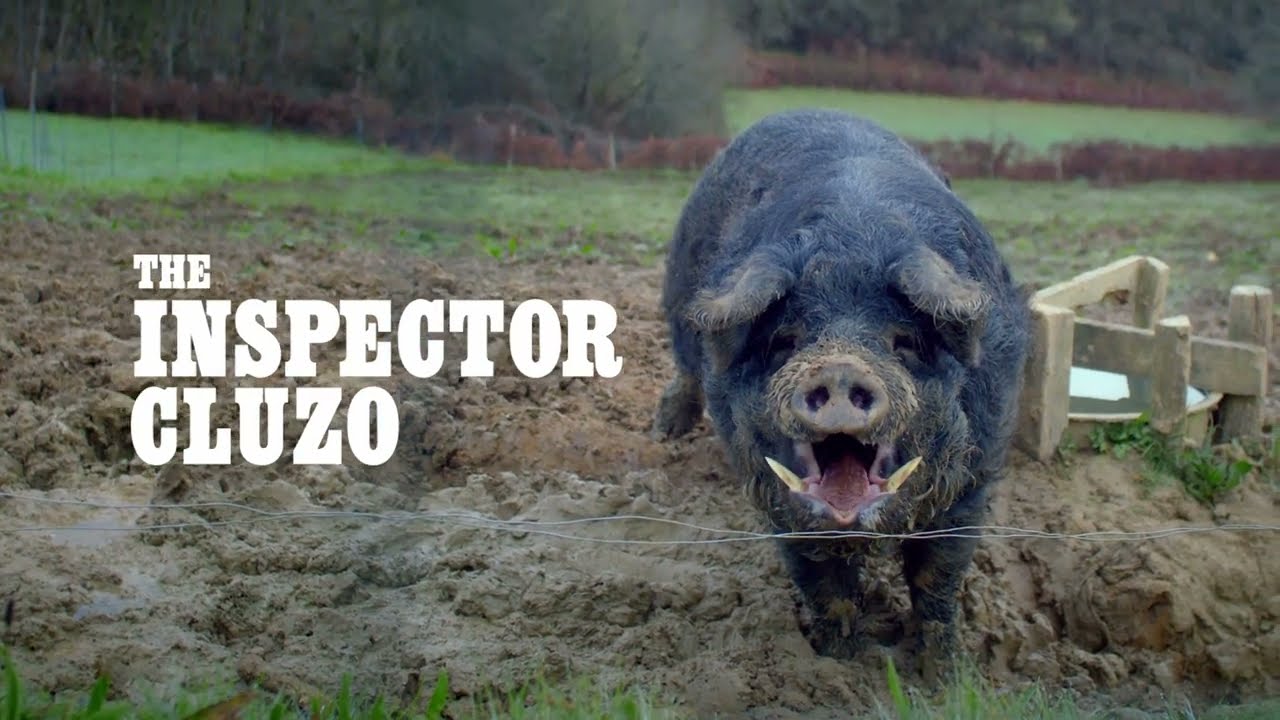 THE INSPECTOR CLUZO - CATFARM