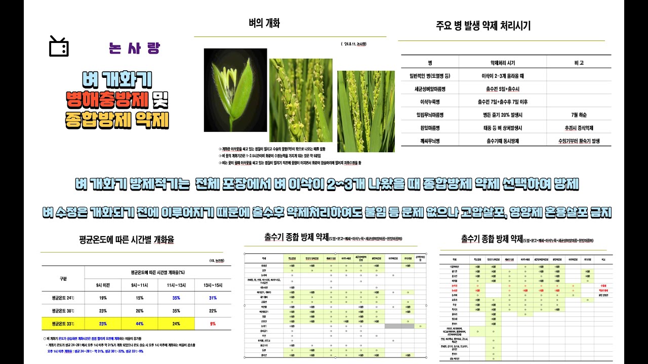 벼 출수기 병해충 방제 및 약제