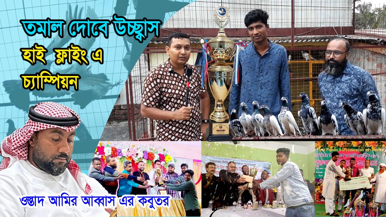 হাই ফ্লাইং কবুতর উড়িয়ে চ্যাম্পিয়ন High Flyer Pakistani Teddy, kamagar, Tupidar, Sharanpuri Kabootar