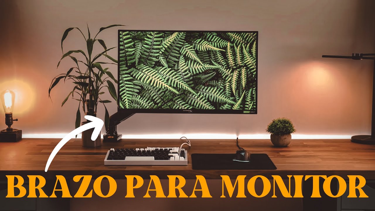 el MONITOR ARM MAS ECONOMICO / NB North Bayou F80 / MONITOR DESK MOUNT