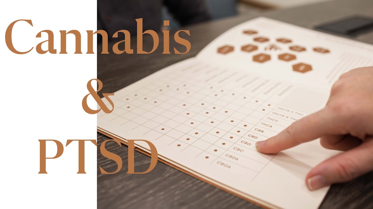 How Medical Cannabis May Help with PTSD