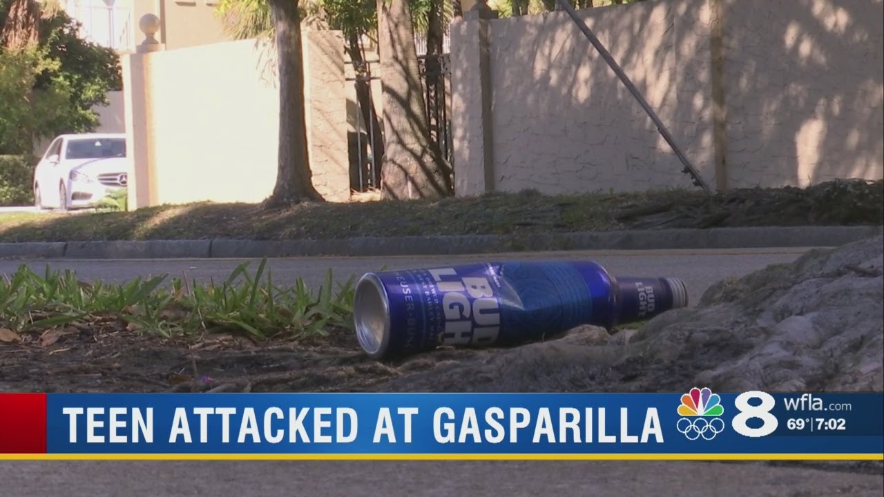 Tampa police investigate assault of teen near Gasparilla parade
