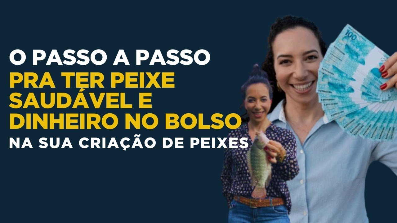 O passo a passo pra ter peixe saudável e dinheiro no bolso na sua criação de peixes