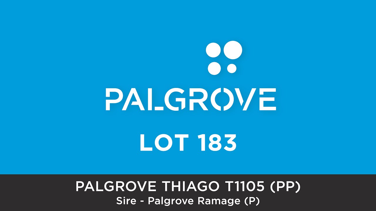 Lot 183 Palgrove Thiago T1105 (PP)