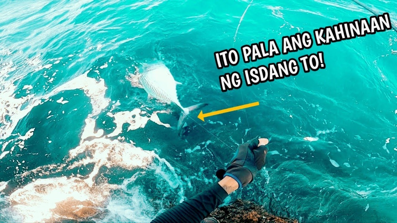 Mapwersa Na isda,ito Ang Kahinaan Nya,Hindi Na Nakapalag | Rock Fishing