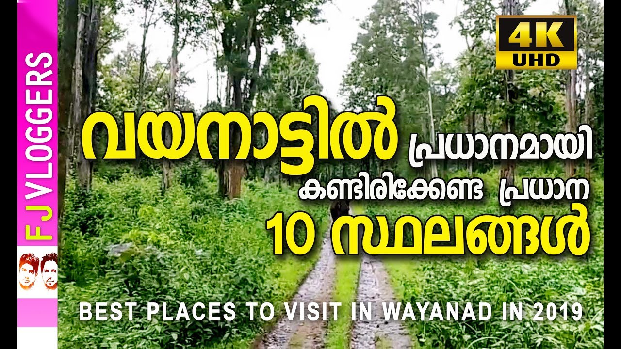 വയനാട്ടിൽ  കണ്ടിരിക്കേണ്ട  പ്രധാന 10 സ്ഥലങ്ങൾ|Top Best Places to Visit in Wayanad in 2019|