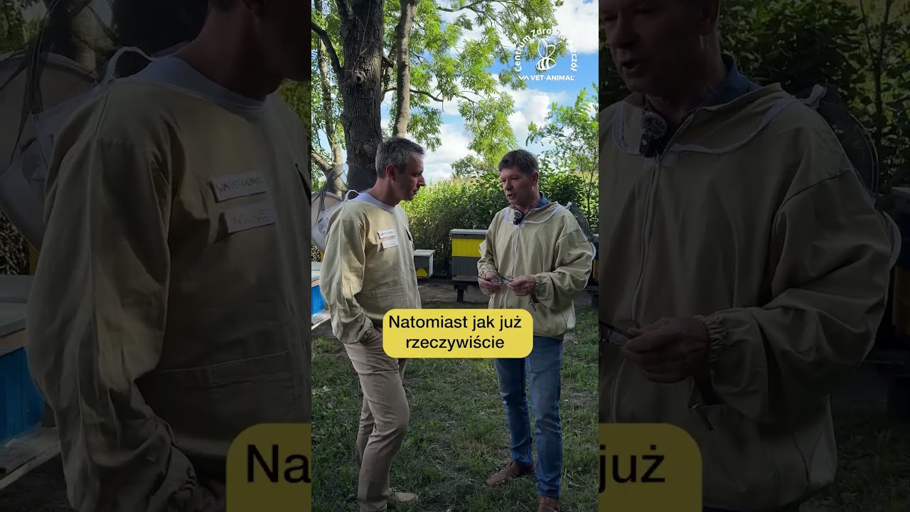 Porady pszczelarza - Krzysztof Jarus, cz. 1/3