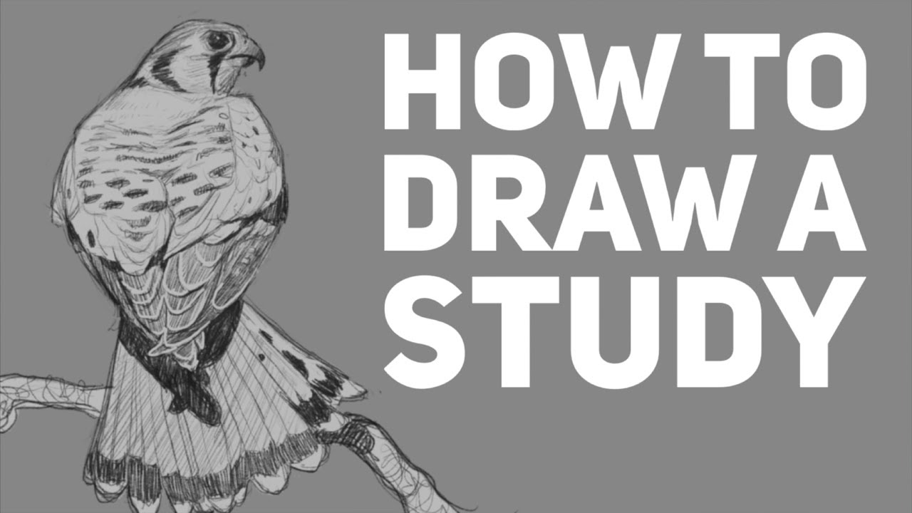 How To Do A Sketch Study