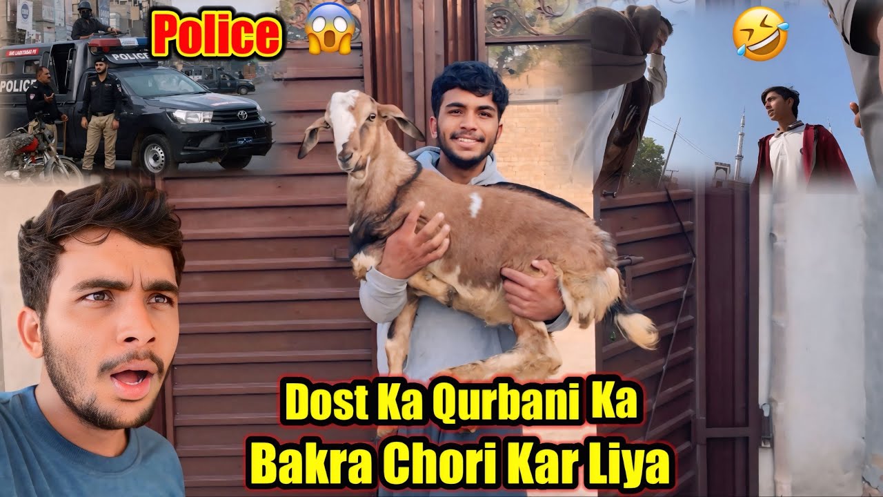 Qurbani Ka Bakra Chori kar Liya 😱 Police Ko Call 📞 Prank Gone Wrong | Zohaib Pendu | Saqlain Pendu