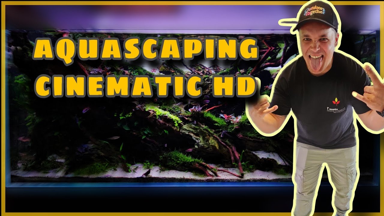 🎬 AQUASCAPING CONTEST TANK CINEMATIC HD de relax frente a mi acuario plantado