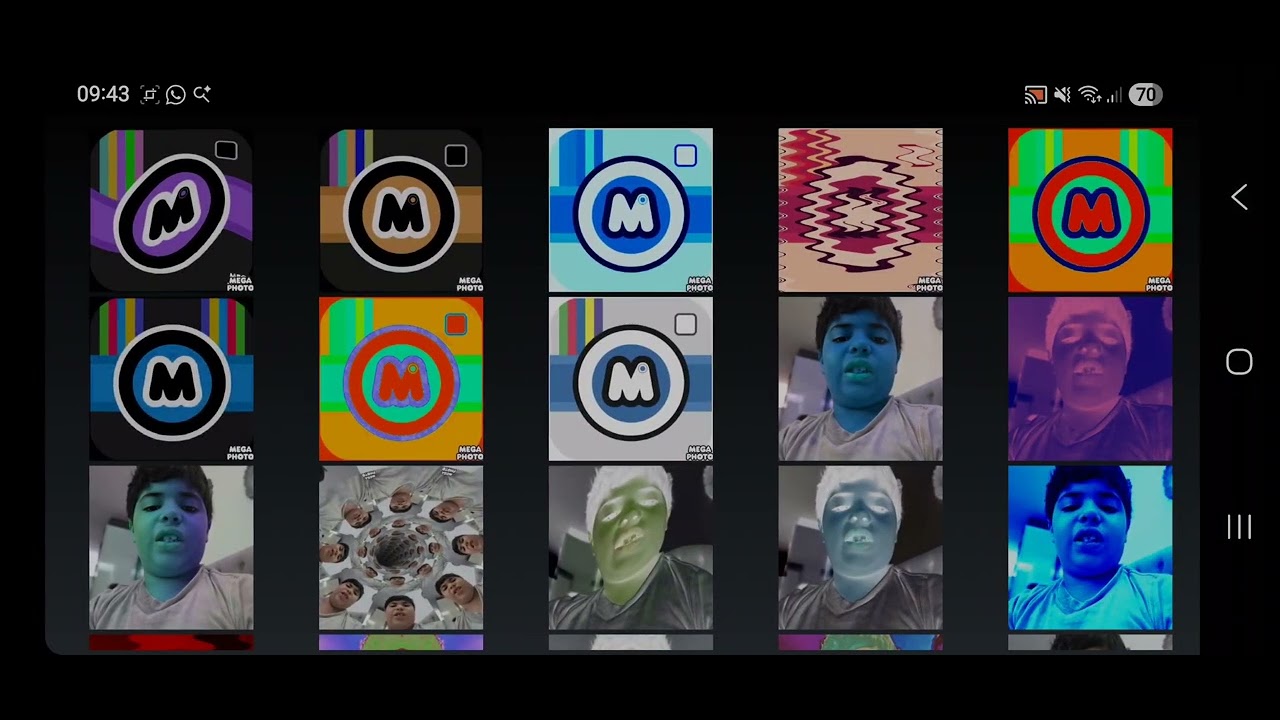 MegaPhotoPro 