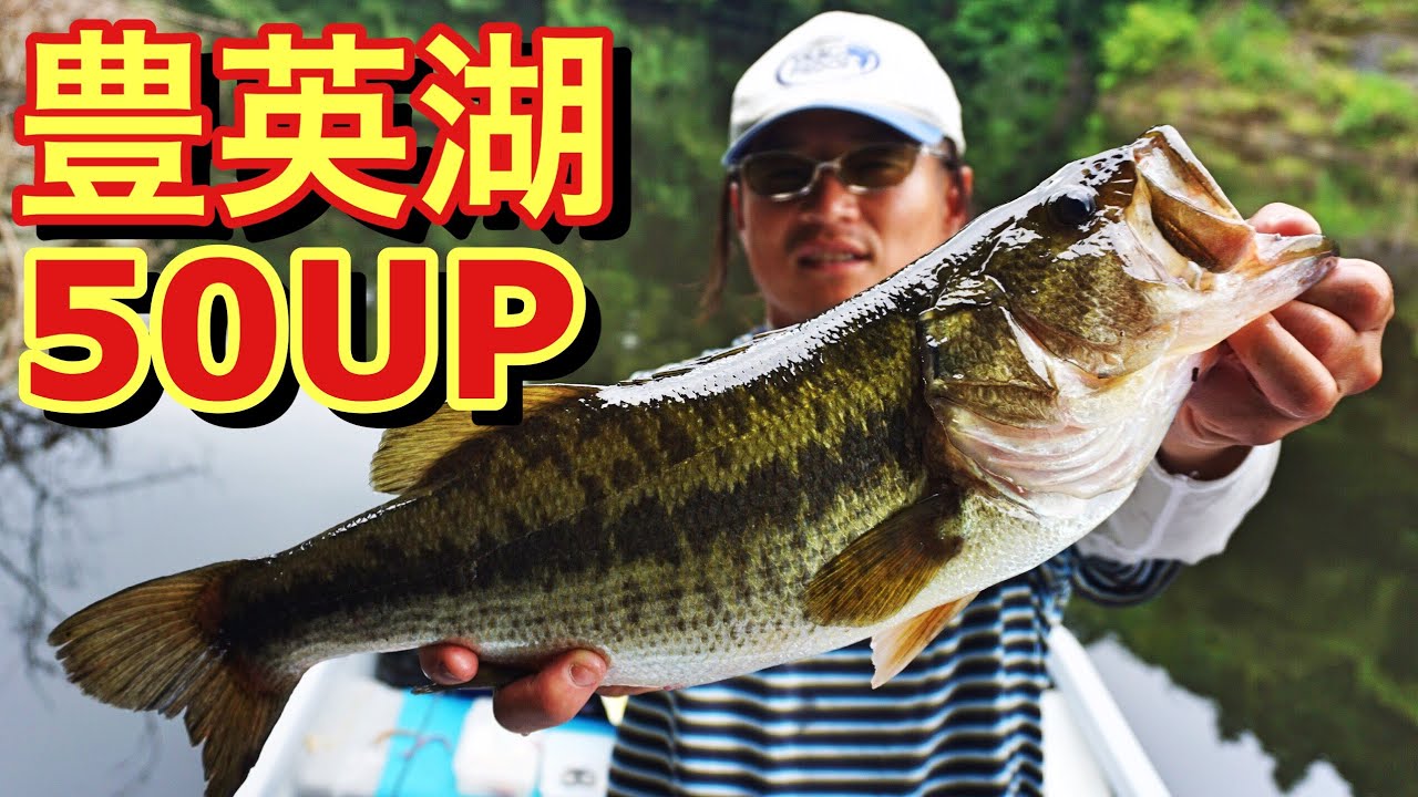【豊英湖でバス釣り】カバーネコにデカバスが反応！【バス釣り解禁で話題のあのダム】