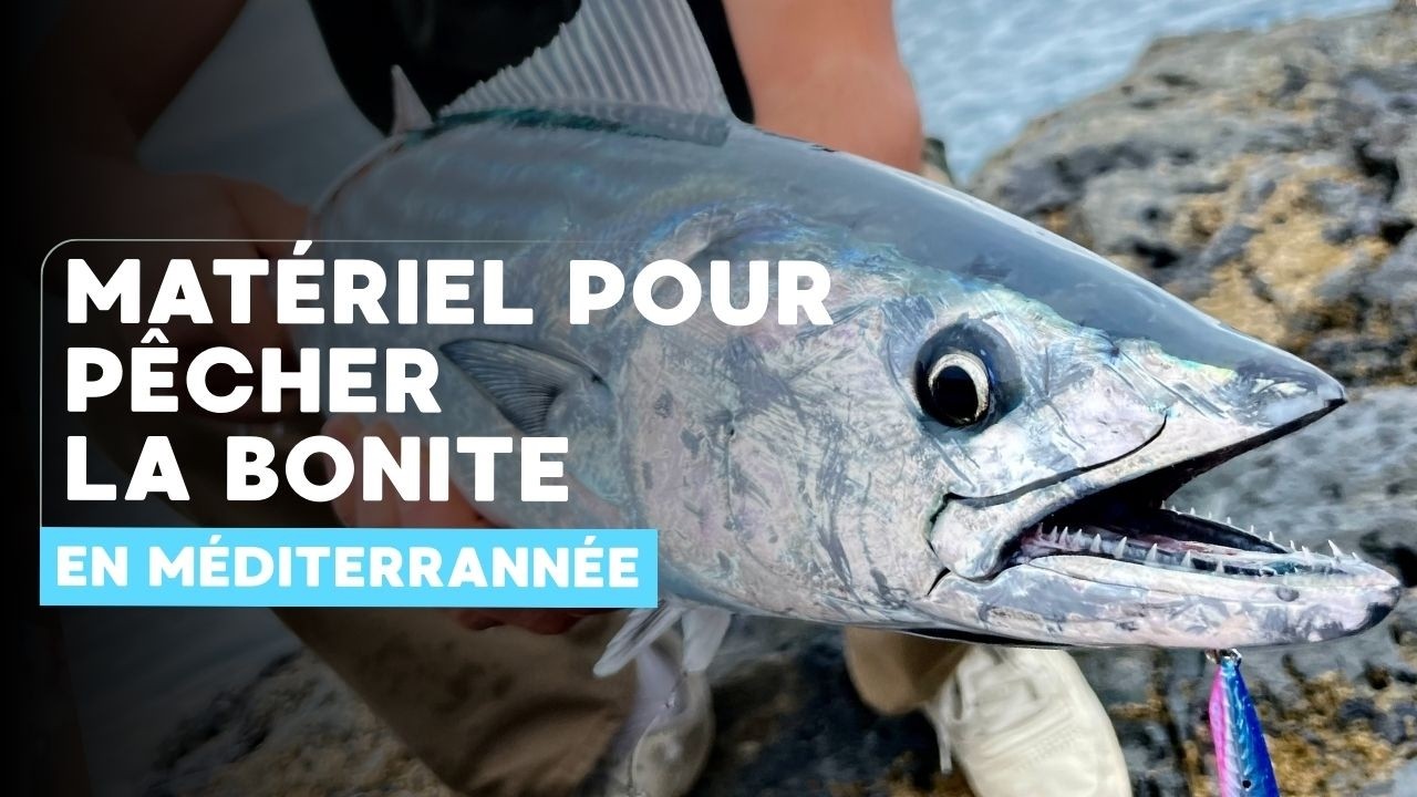 Les bonites arrivent ! Faites le point mat&eacute;riel