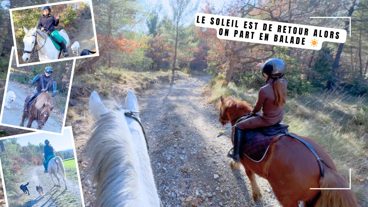 Le soleil  est de retour on part en balade !