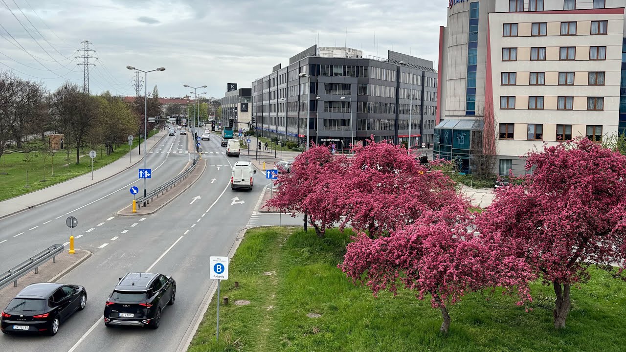Krakow, watch before you visit. Spring time #asmr #cycling #krakow 