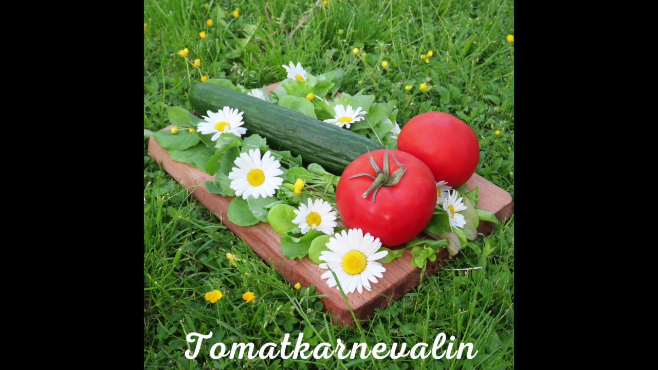 Bengtas Ballin   Tomatkarnevalin