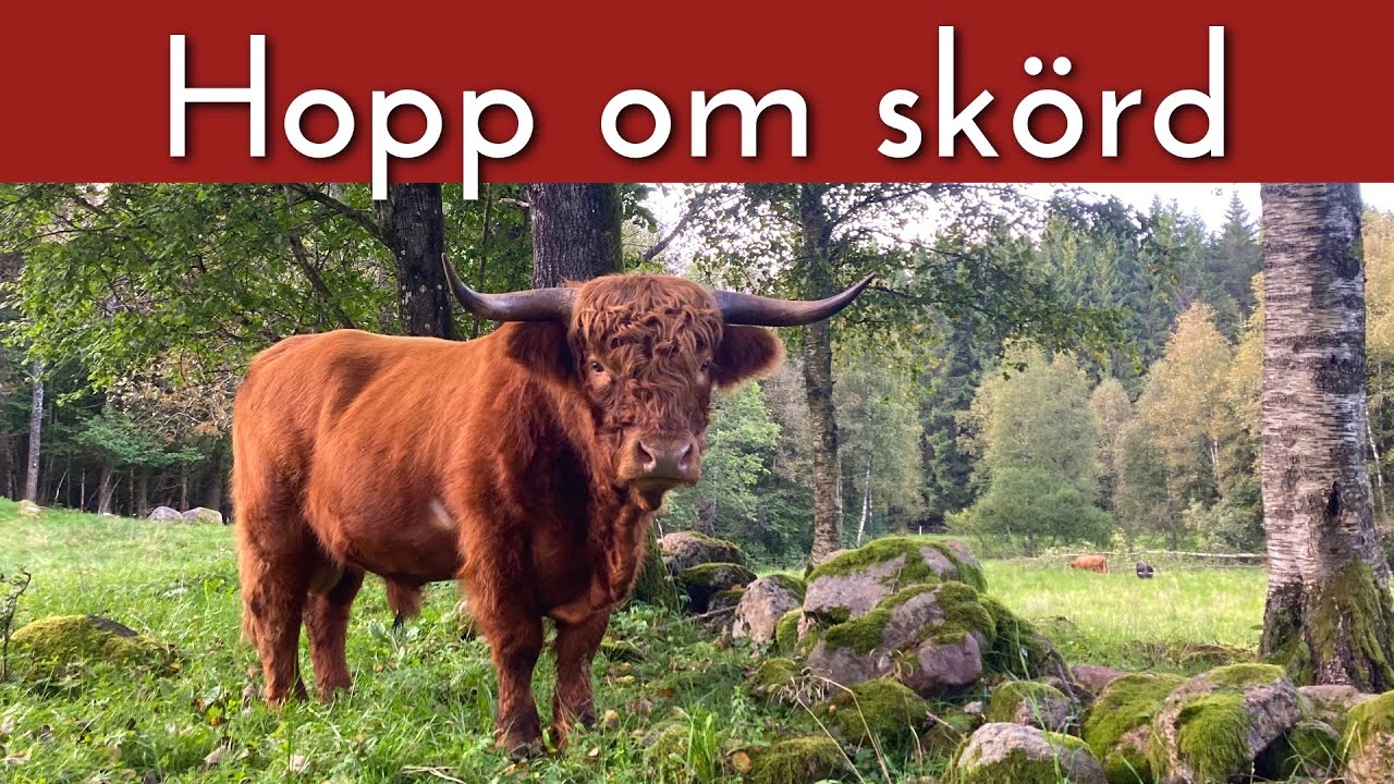 Hopp om sk&ouml;rd i september - Kapten Kirk tackar f&ouml;r i &aring;r