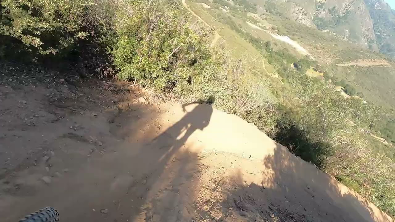 Rabbit leap MTB 