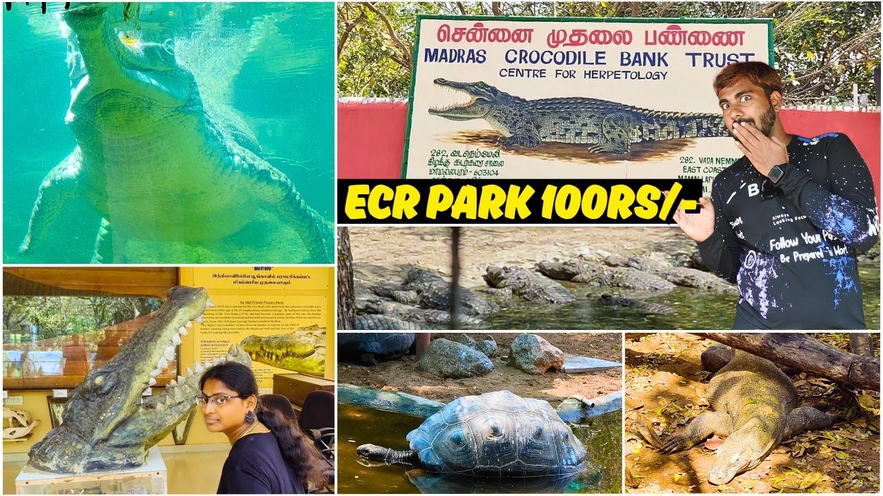 🐊Crocodile Park Chennai ECR | 🐊முதலை பண்ணை🐢|🐍Must Visit Place In Chennai ECR
