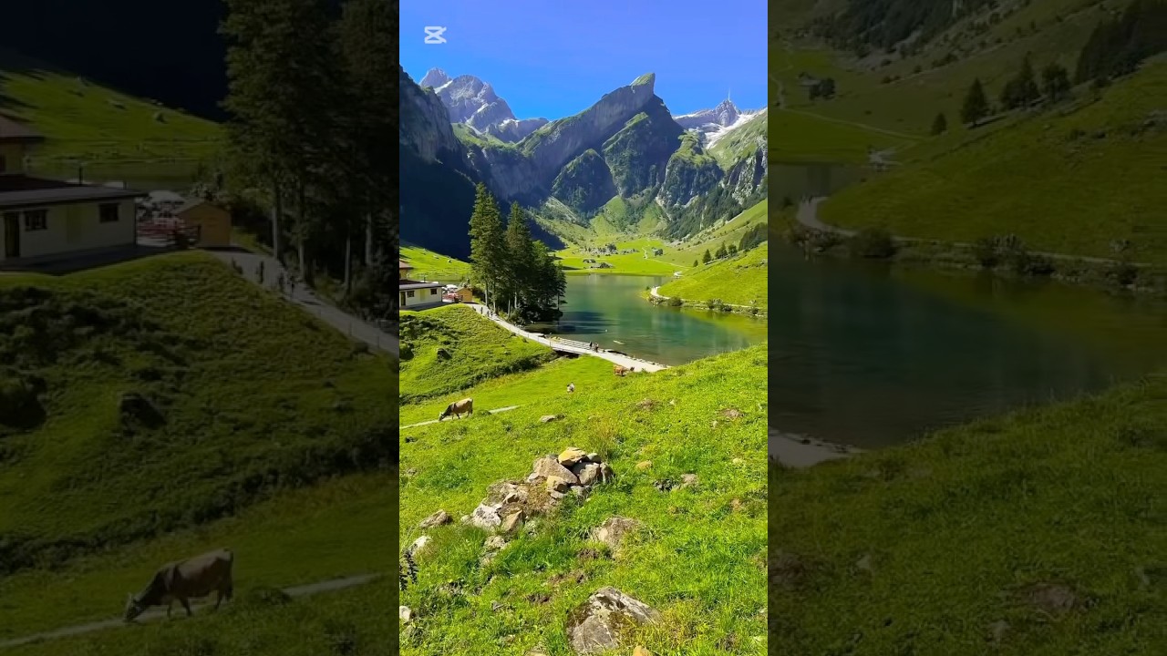 Switzerland: A True Nature Escape