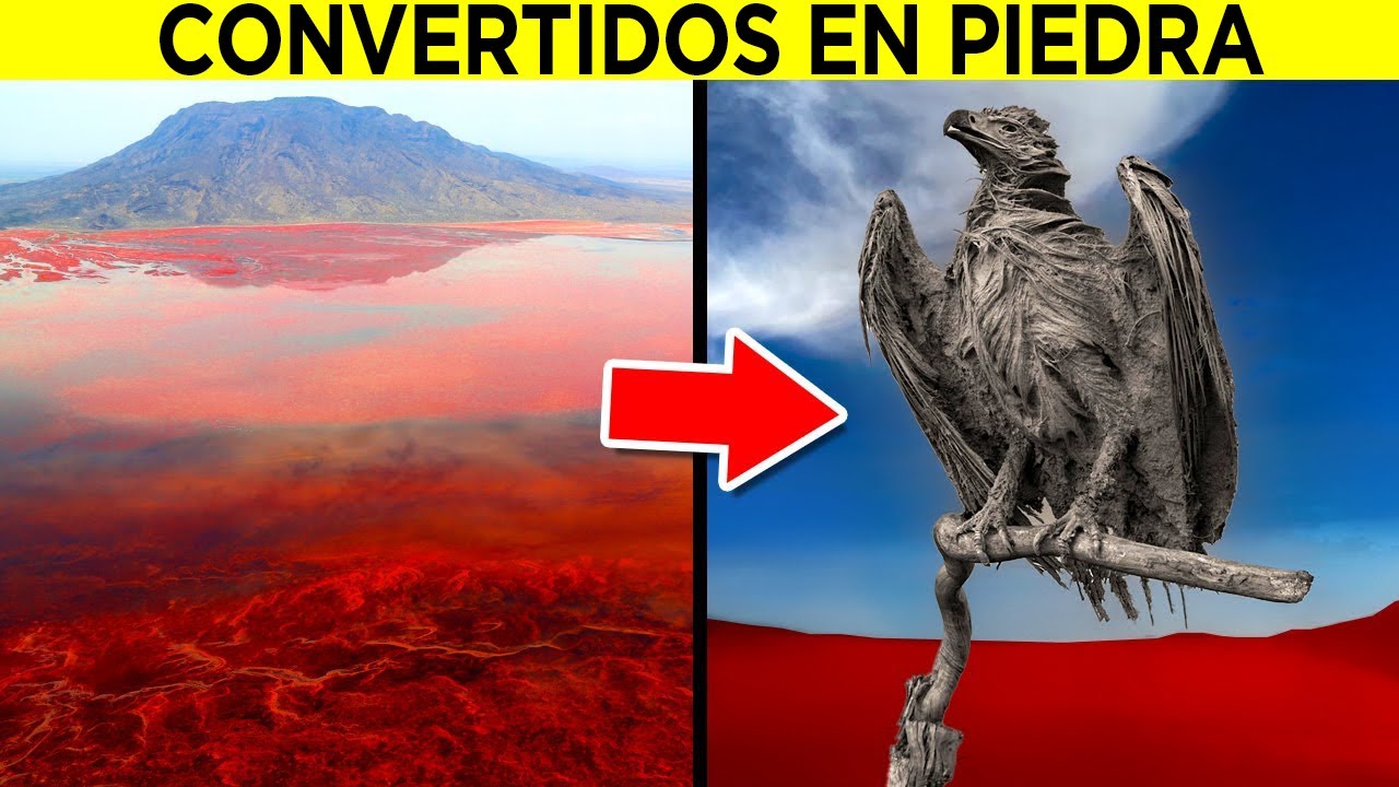 Misteriosos Descubrimientos Hechos En Cuerpos De Agua Secos