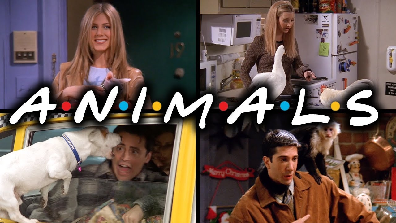 The Ones with the Animals | Friends