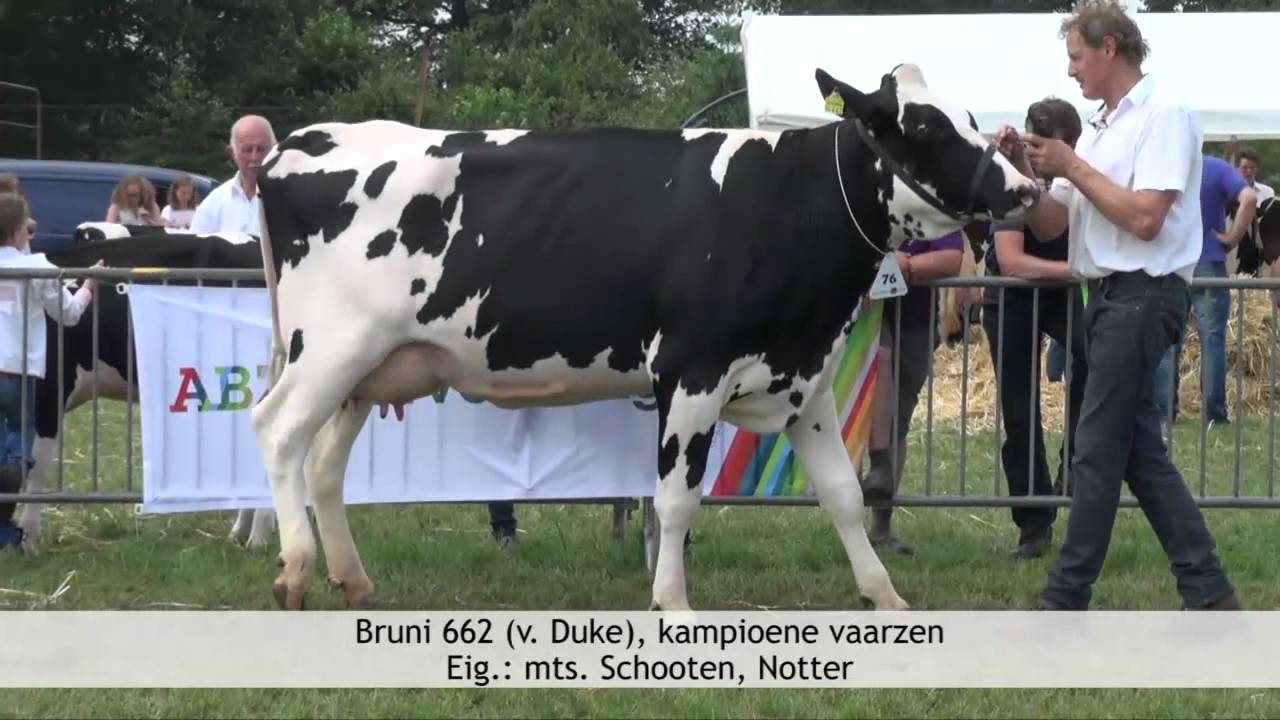 AgriFair Wierden 2014