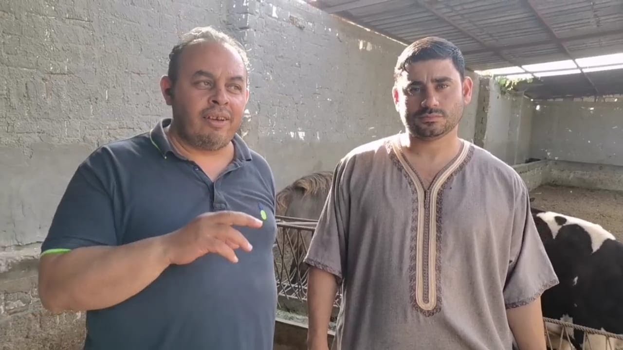 لقاء مع احد مشاهير الانتاج الحيواني عن كيفيه الاستثمار في مجال الانتاج الحيواني