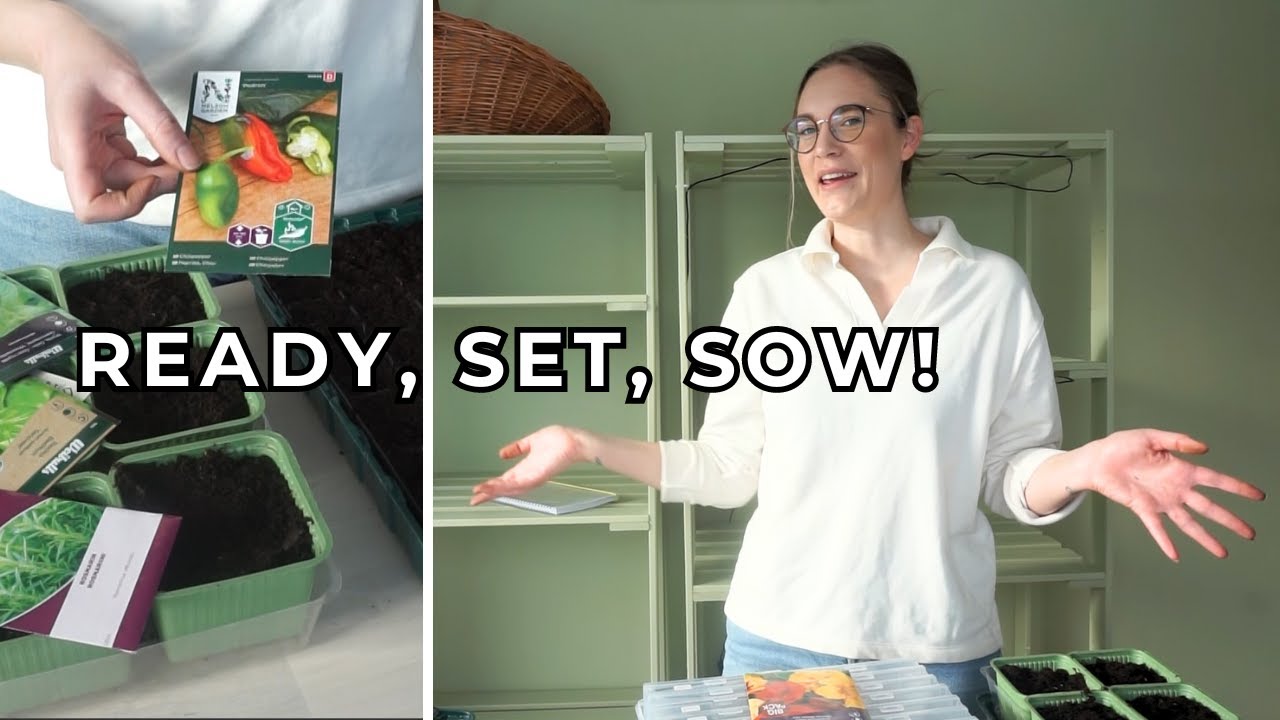 What Seeds to Sow in February! | Growing Zone 4-5