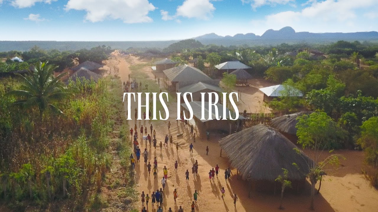 This is Iris