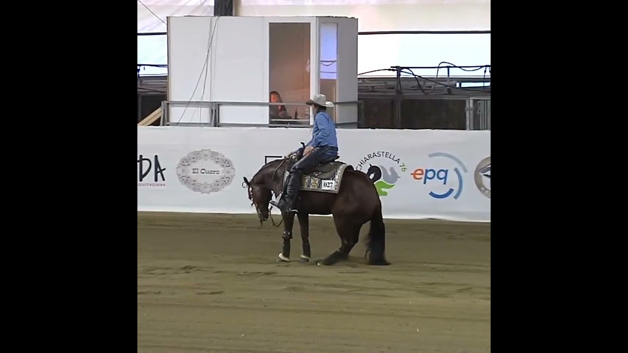 Reining ..stop e rollback