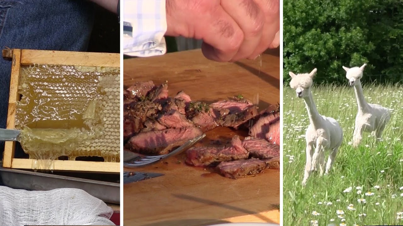 Cooking with Marksbury Farm, New Sheep & Wild Strawberries, Slinging Honey(Episode #308)