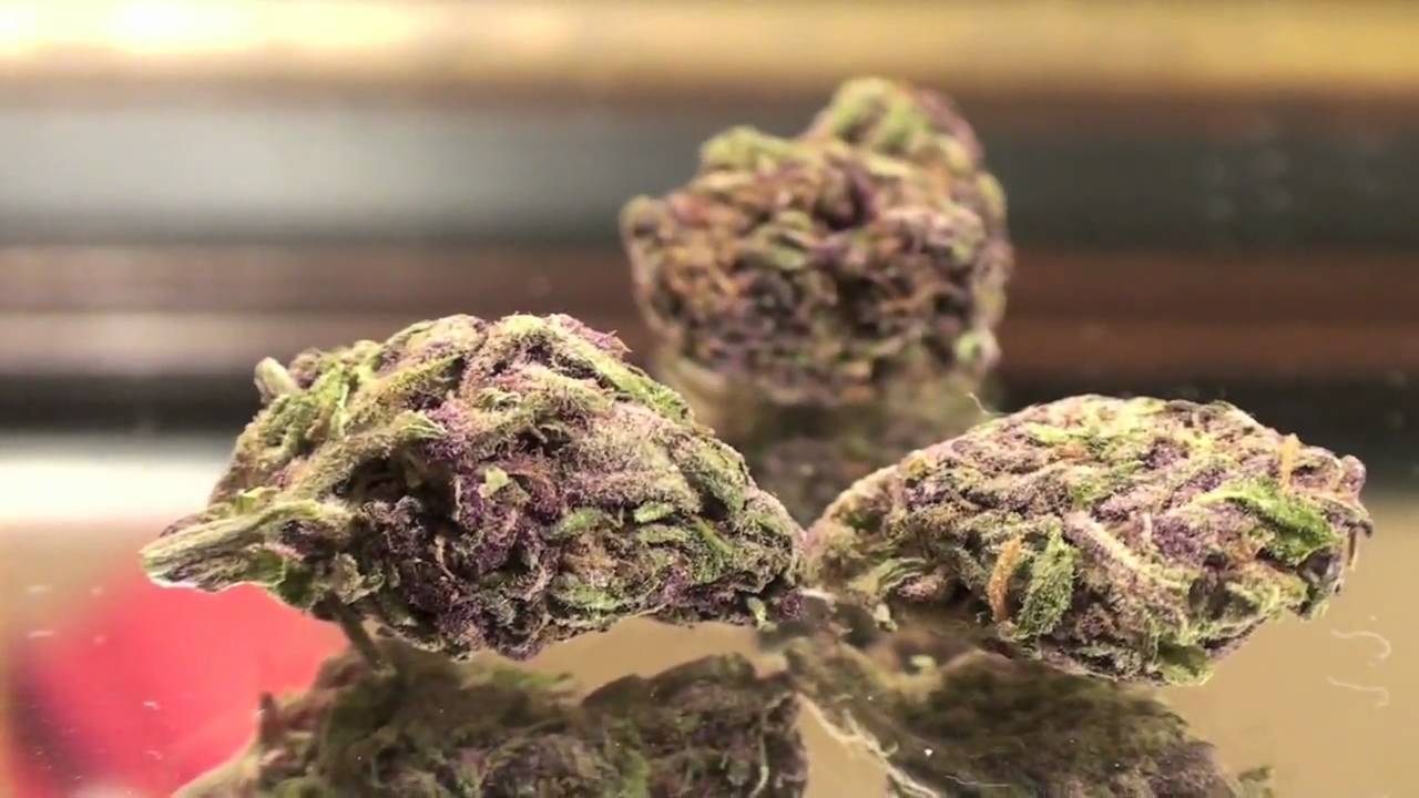 Black Diesel