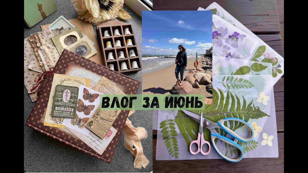 ВЛОГ за июнь 2024