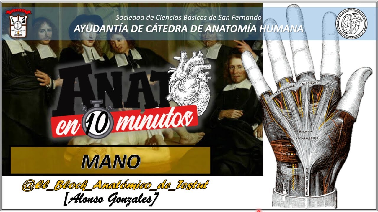 Anatomía de la Mano - Proyecto ANATO EN 10 MINUTOS