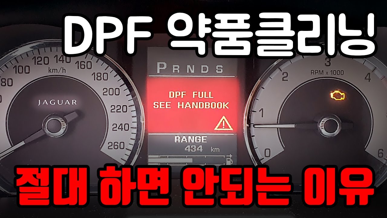 DPF 약품 클리닝 하면 안된다?