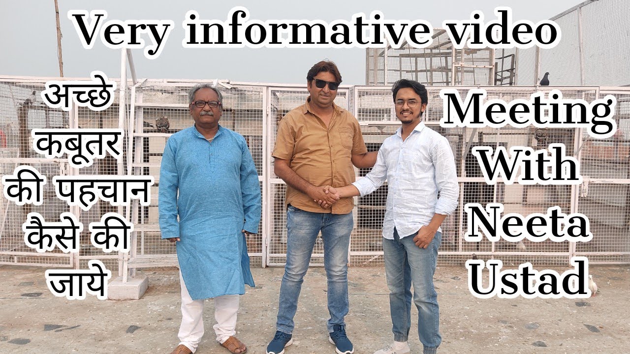 उस्ताद नीटा, उस्ताद संजय दुबे ने बताया कबूतर की पहचान का तरीका | Neeta Ustad Delhi@TheHomeSanctuary