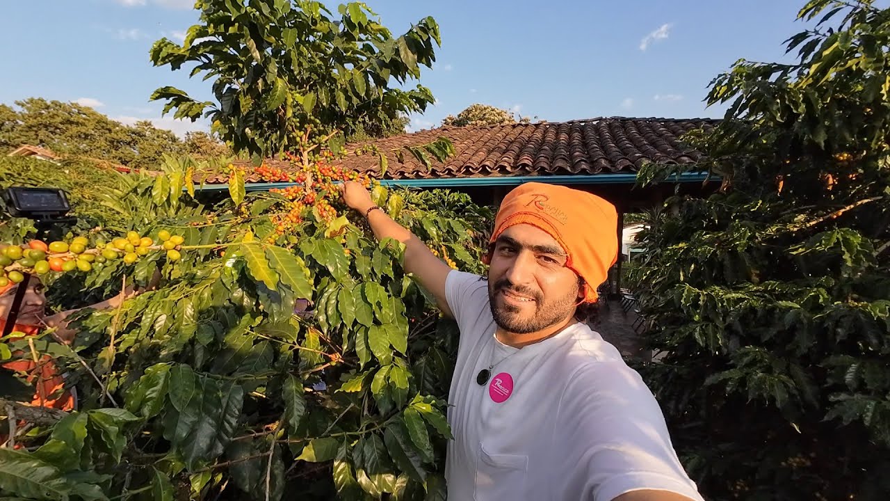 por qué EN COLOMBIA SE TOMA MAL CAFÉ ?? 🇨🇴