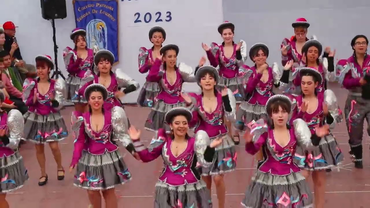 SAMBO 4MB 2023