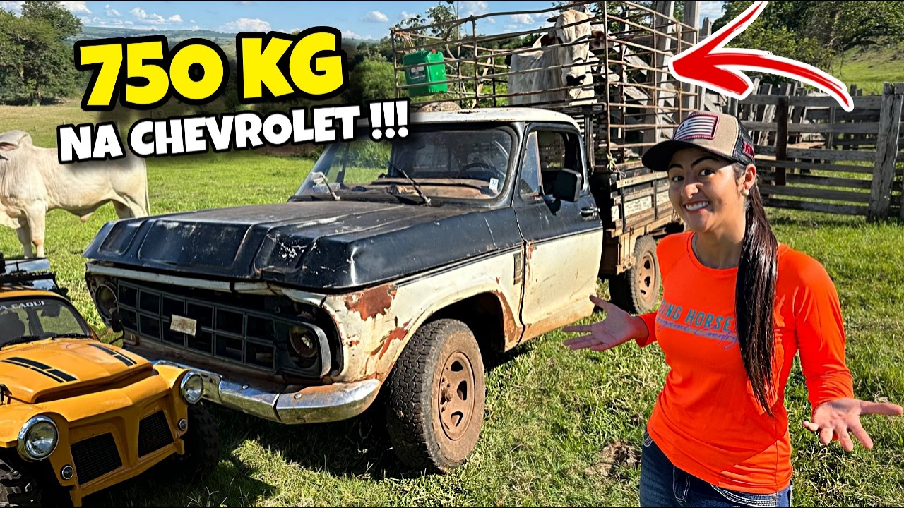 O TOURO FOI VENDIDO E FOMOS DE FUSCA CAQUI NO SÍTIO ACOMPANHAR !!!