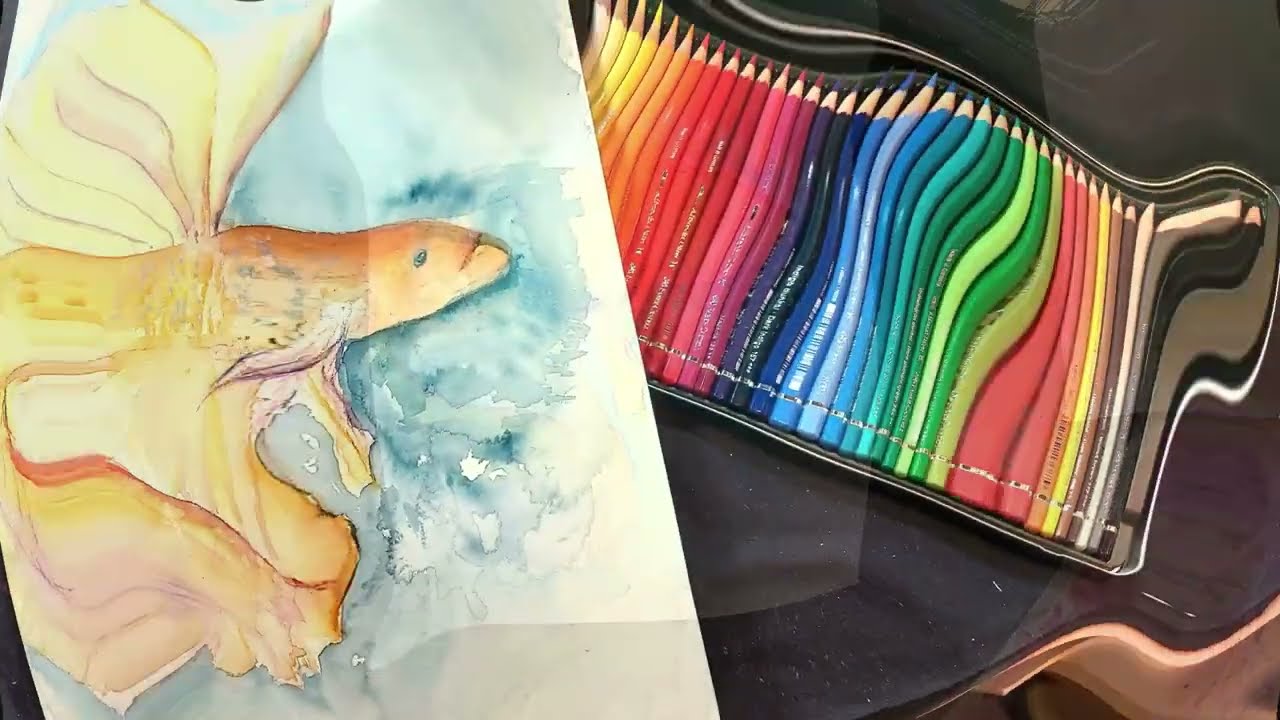 Paint a Flowing Watercolor Betta with WC pencils and paint