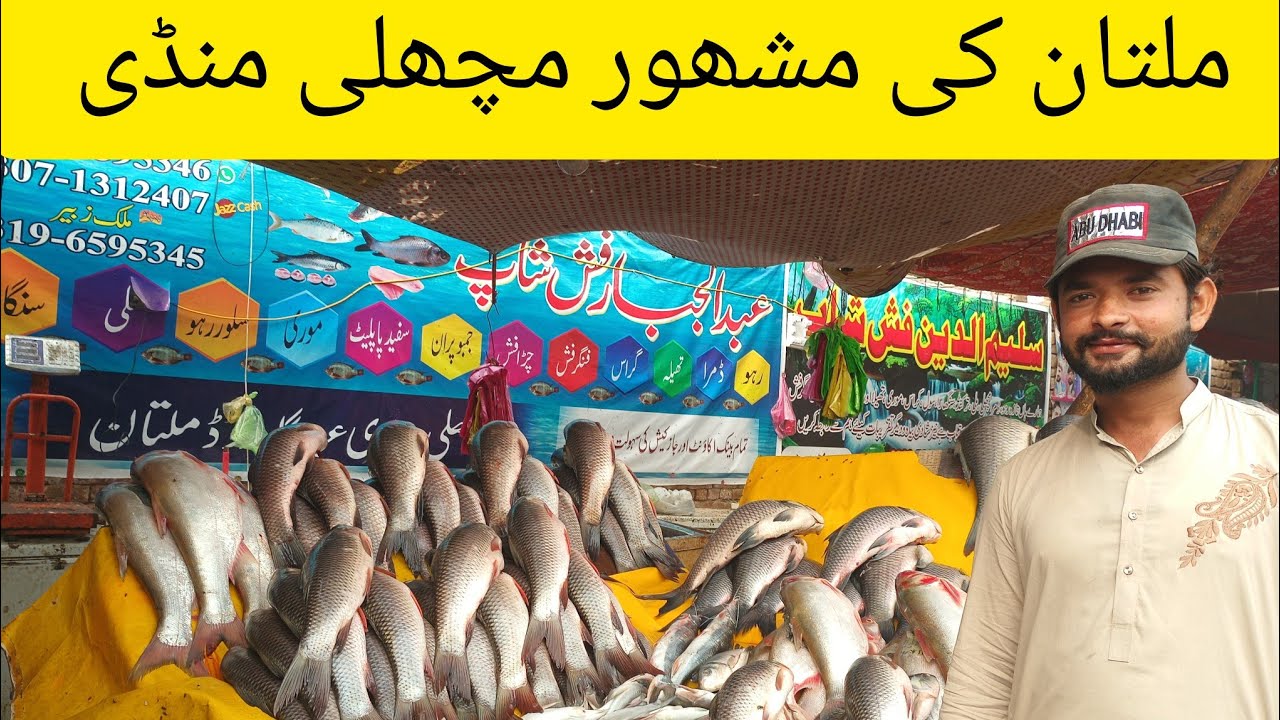 Multan Machli Mandi ka visit or Machli ki khridri By Amir Arshad Vlogs